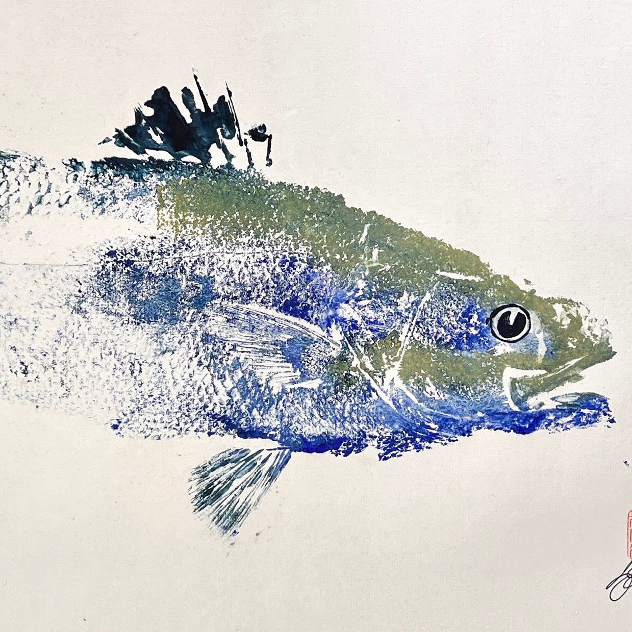 Menai Strait, Line Caught Sea Bass Gyotaku Printed and Wet Mounted.