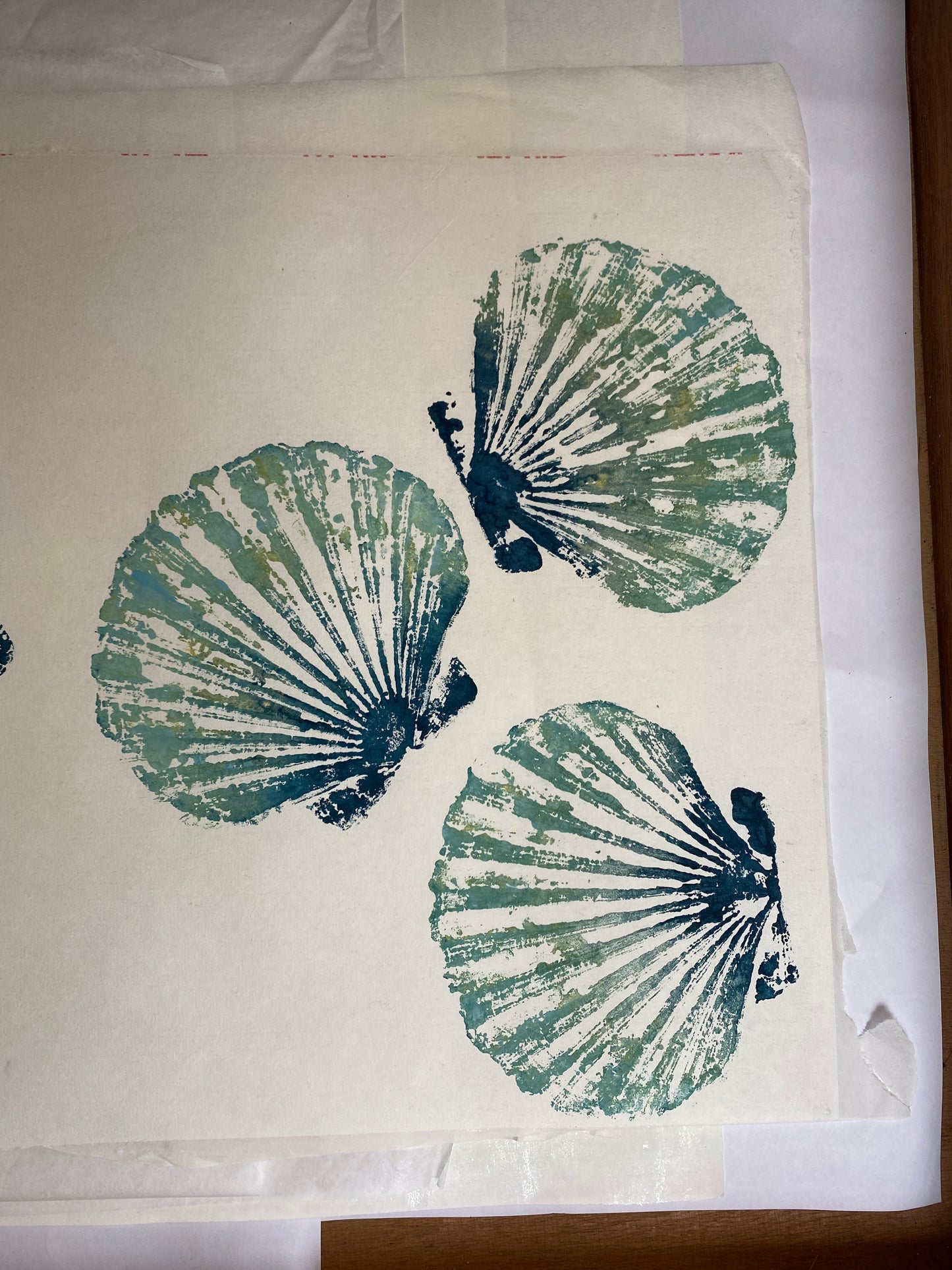 Multiple Scallop Shell Gyotaku Print, Wet Mounted