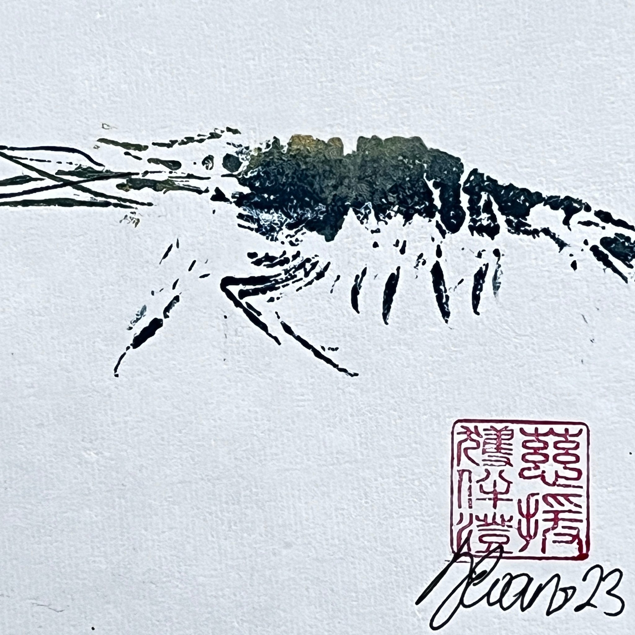 Duo print of Menai Strait Prawn