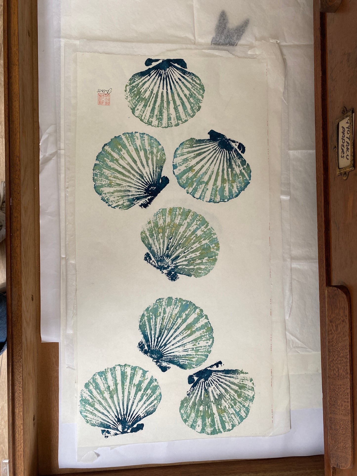 Multiple Scallop Shell Gyotaku Print, Wet Mounted